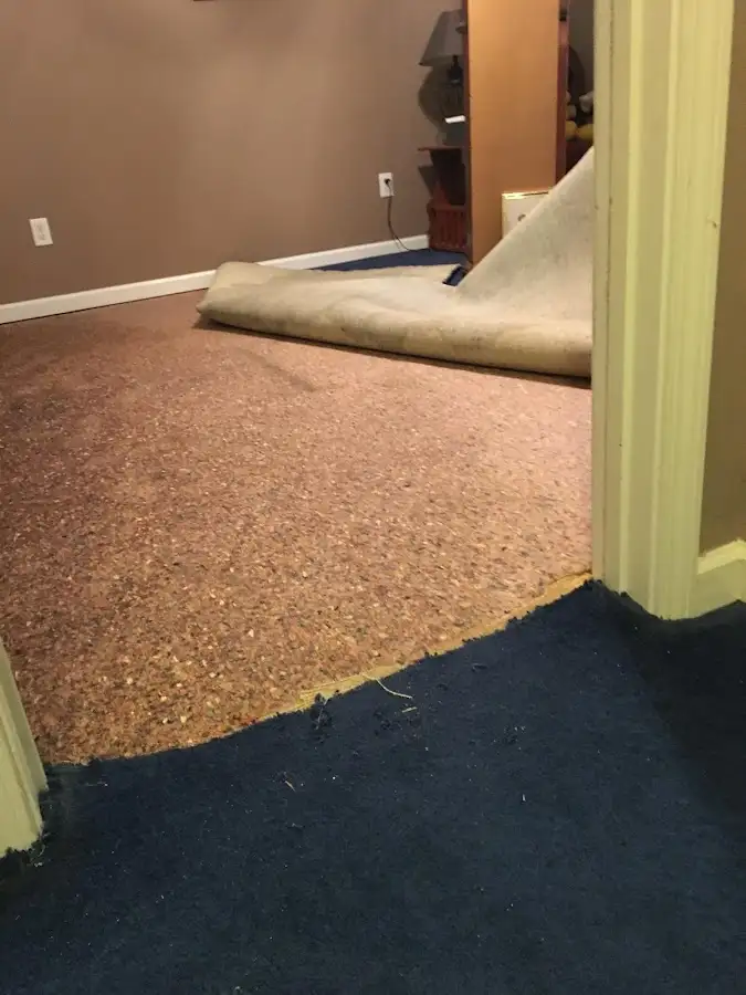 Carpet pad removal revealing water damage during Water Mitigation Services in North Fort Lewis