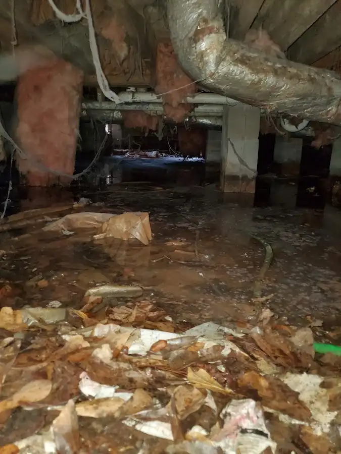 Crawl space flood assessment for Commercial Water Damage Restoration in North Fort Lewis