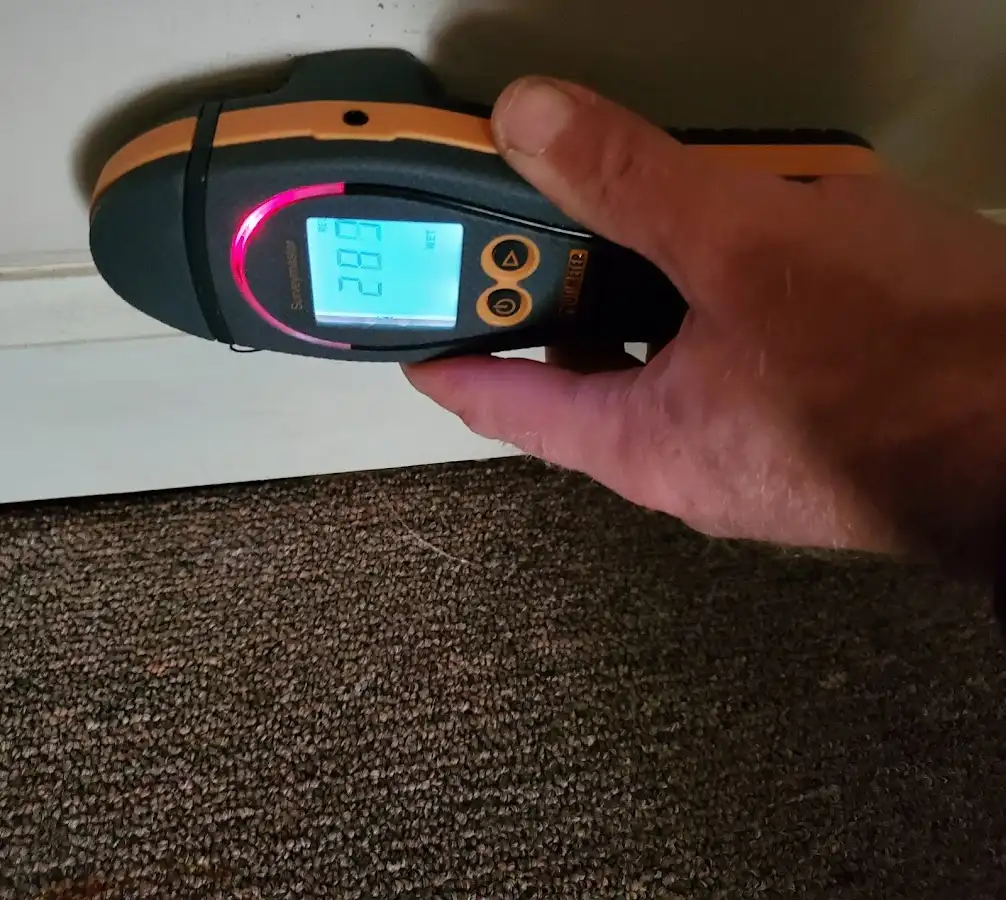 Moisture detection at baseboard during Burst Pipe Cleanup in North Fort Lewis